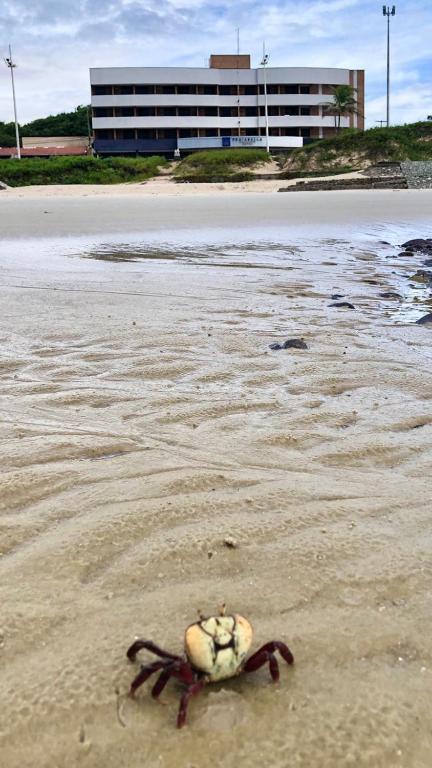 Praiabella Hotel São Luís Eksteriør billede